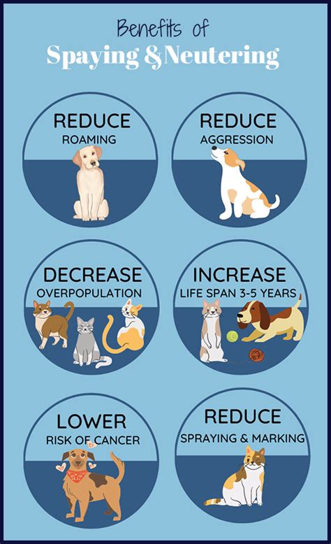 spay フィリピン|Why spaying and neutering can keep pets healthier.